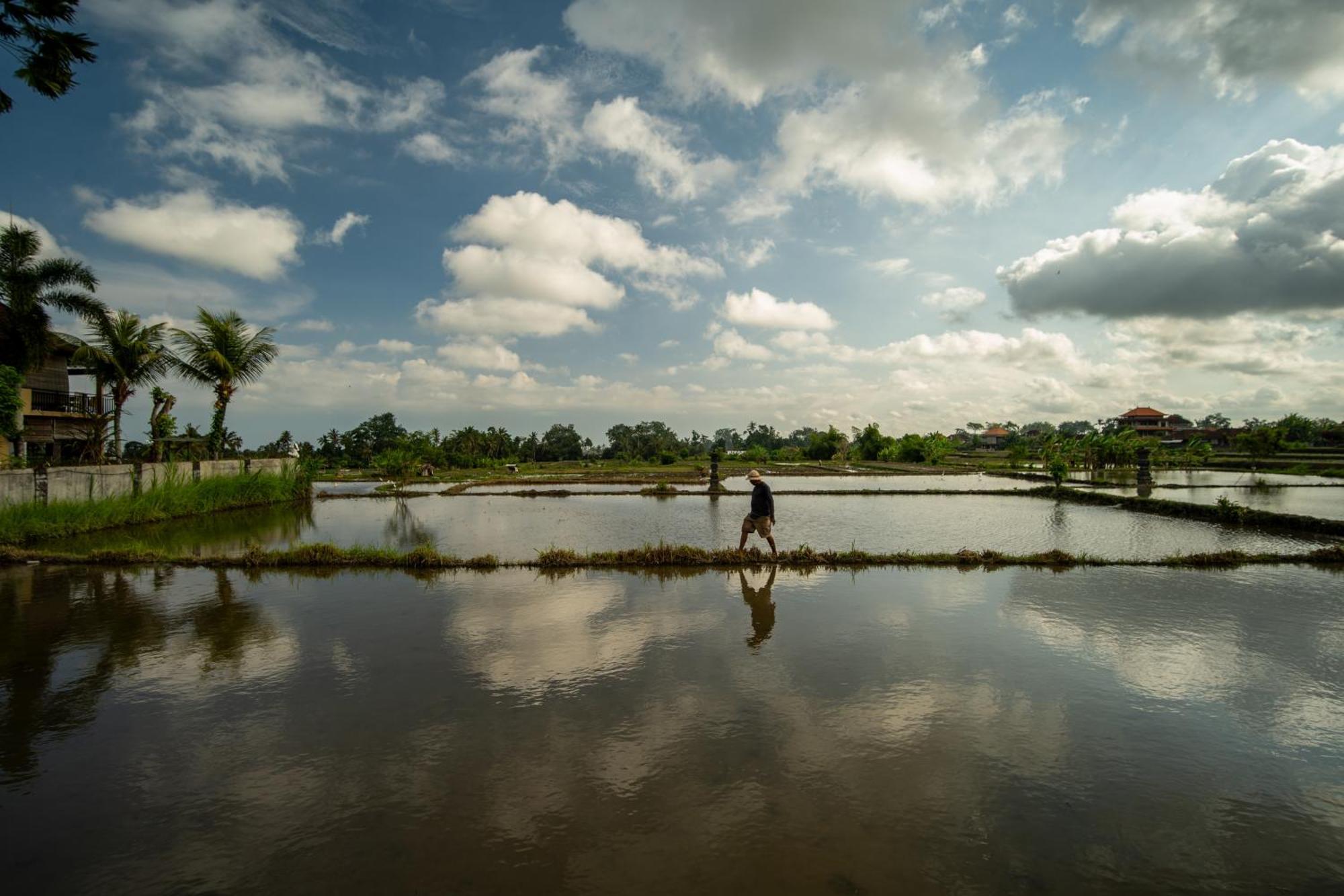 Kubu Sari Ubud מראה חיצוני תמונה